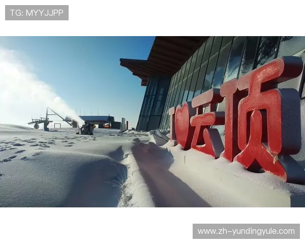 云顶集团简介资料——云顶集团的经营范围与市场布局详细介绍