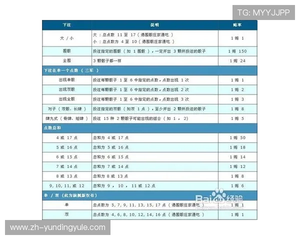 云顶赌场筹码的使用技巧与策略提升你的游戏胜率和赢钱的几率