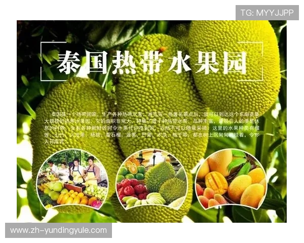 马来西亚云顶官方网站的移动端体验优化与手机登录操作指南